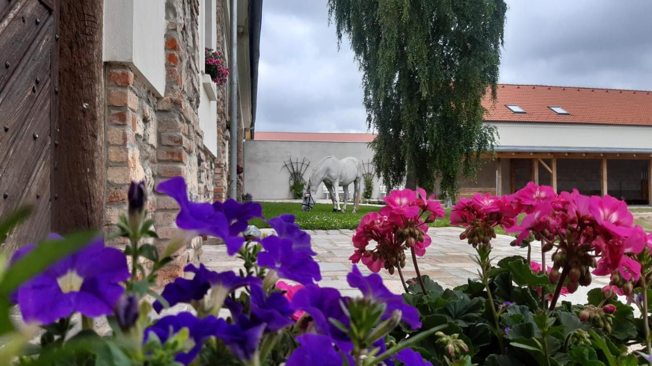 Korn-Hof Kornatice Exterior foto